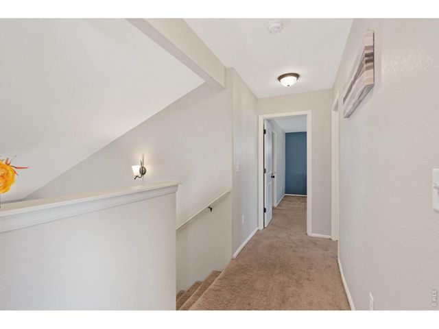 956 Maplebrook Dr, Windsor, CO 80550