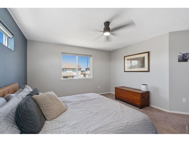956 Maplebrook Dr, Windsor, CO 80550