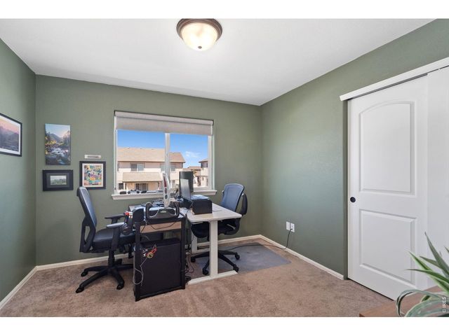 956 Maplebrook Dr, Windsor, CO 80550