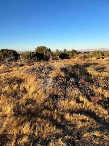 0 Elsinore, Pinon Hills, CA 92372