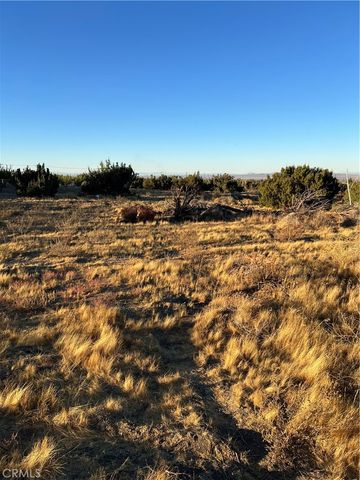 0 Elsinore, Pinon Hills, CA 92372