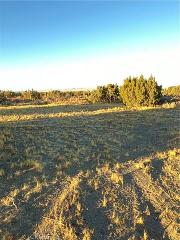 0 Elsinore, Pinon Hills, CA 92372