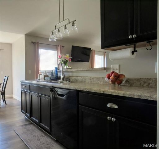 1716 Meade Court, Pacific, MO 63069