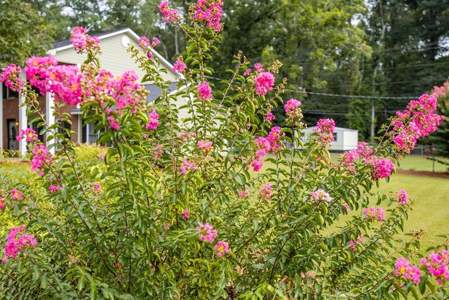 13745 Upatoi Lane, Upatoi, GA 31829