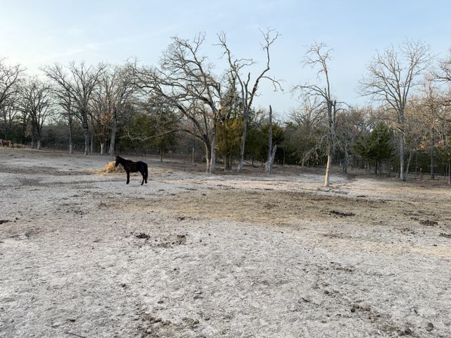 9789 Sunrise Boulevard, Quinlan, TX 75474