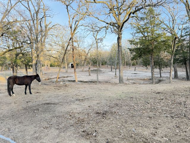 9789 Sunrise Boulevard, Quinlan, TX 75474