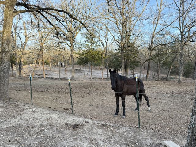 9789 Sunrise Boulevard, Quinlan, TX 75474