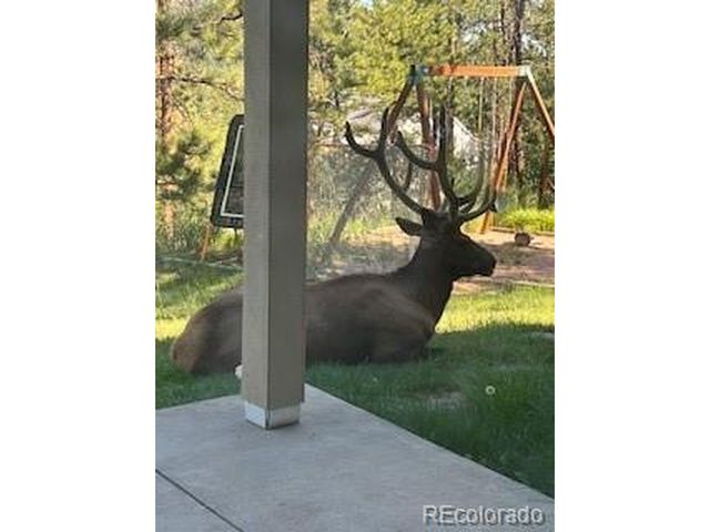 7262 S Sourdough Dr, Morrison, CO 80465