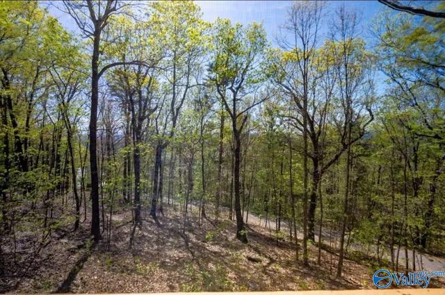 22081 County Road 89, Mentone, AL 35984