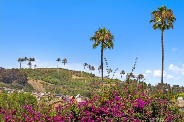 31482 Carril De Maderas, San Juan Capistrano, CA 92675