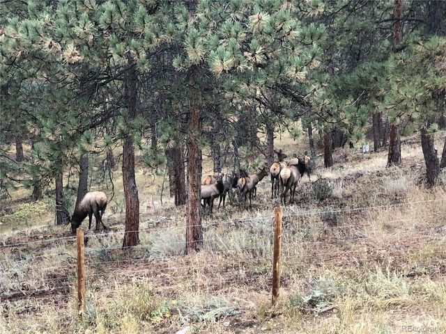 444 Broken Arrow Road, Evergreen, CO 80439