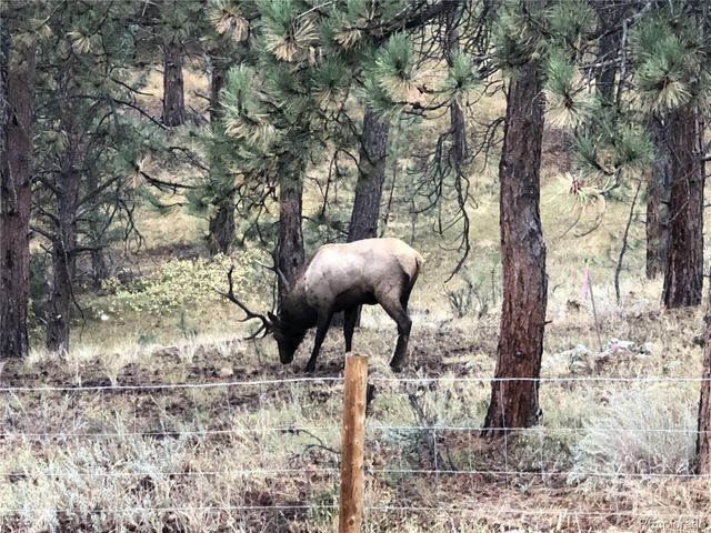 444 Broken Arrow Road, Evergreen, CO 80439