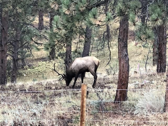 444 Broken Arrow Road, Evergreen, CO 80439