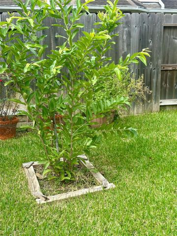 554 Ivy Cross Lane, Sugar Land, TX 77479