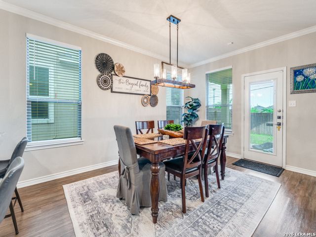 21807 Yucca Bend, San Antonio, TX 78261