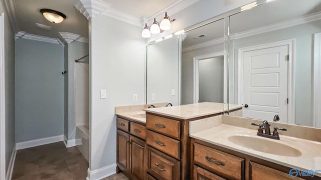 28212 Ferguson Lane, Toney, AL 35773