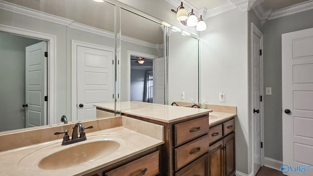 28212 Ferguson Lane, Toney, AL 35773