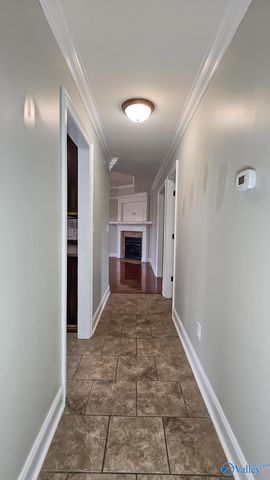 28212 Ferguson Lane, Toney, AL 35773