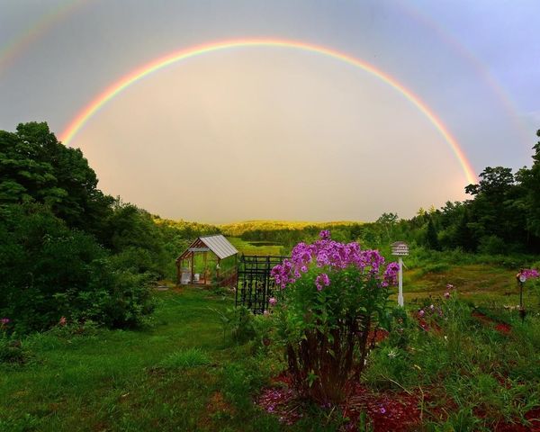 104 Johnny Cake Hill Lane, Readsboro, VT 05350