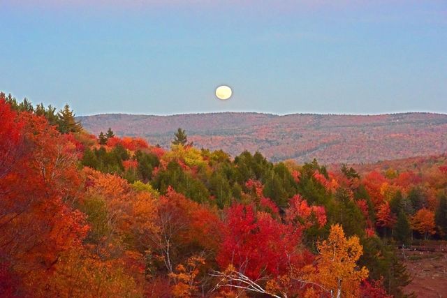 104 Johnny Cake Hill Lane, Readsboro, VT 05350