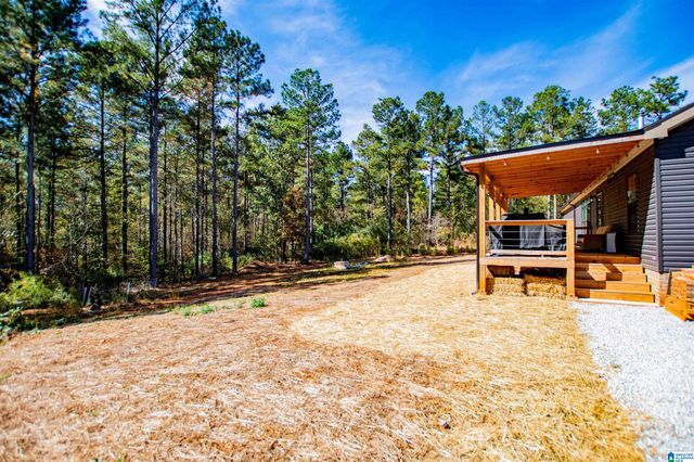 1891 COUNTY ROAD 852, Ranburne, AL 36273