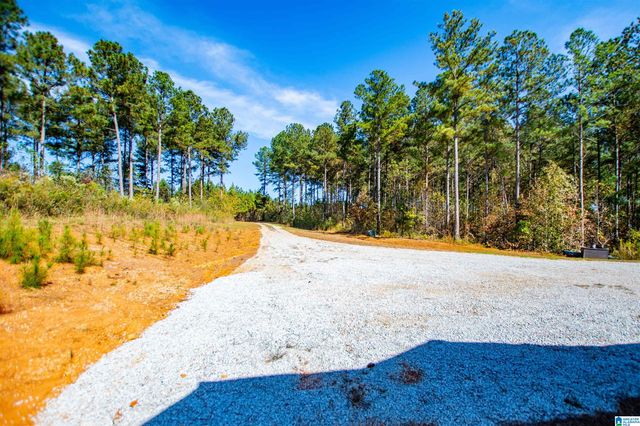 1891 COUNTY ROAD 852, Ranburne, AL 36273