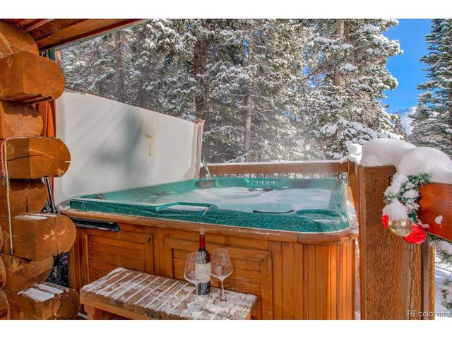 229 Lee Ln, Breckenridge, CO 80424