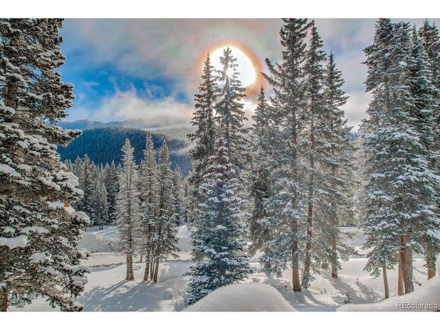 229 Lee Ln, Breckenridge, CO 80424