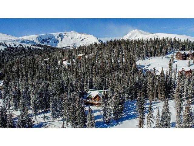 229 Lee Ln, Breckenridge, CO 80424