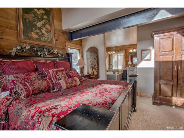 229 Lee Ln, Breckenridge, CO 80424