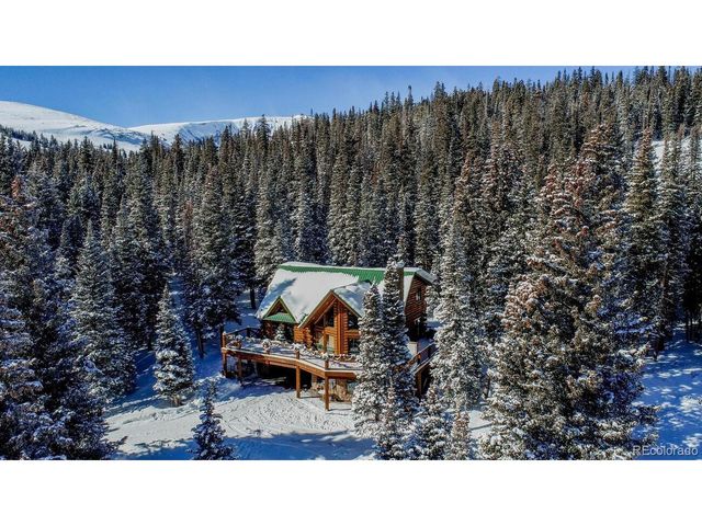 229 Lee Ln, Breckenridge, CO 80424