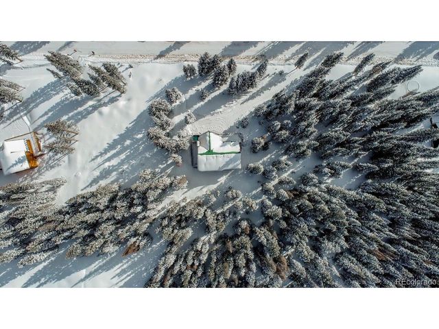 229 Lee Ln, Breckenridge, CO 80424