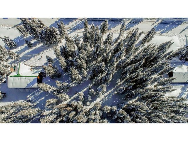 229 Lee Ln, Breckenridge, CO 80424
