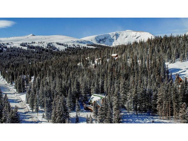 229 Lee Ln, Breckenridge, CO 80424