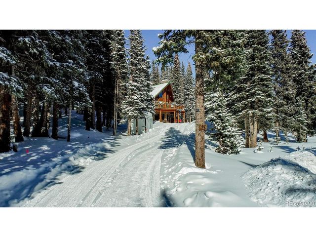 229 Lee Ln, Breckenridge, CO 80424