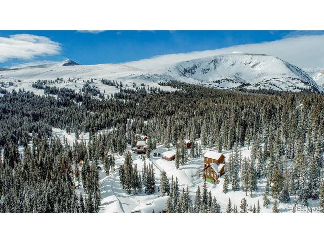 229 Lee Ln, Breckenridge, CO 80424