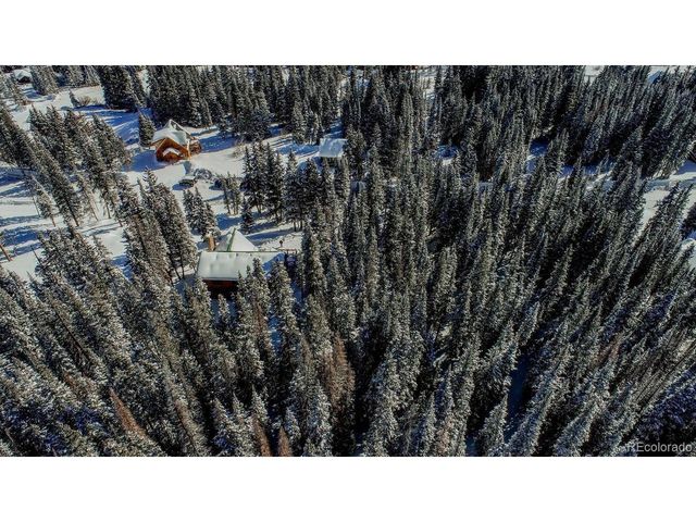 229 Lee Ln, Breckenridge, CO 80424