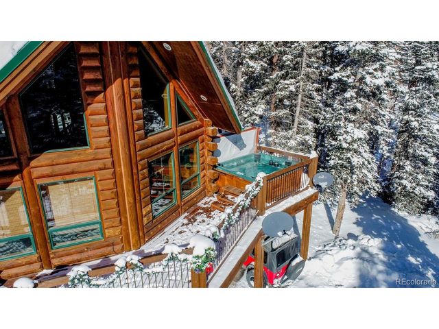 229 Lee Ln, Breckenridge, CO 80424