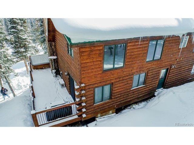 229 Lee Ln, Breckenridge, CO 80424