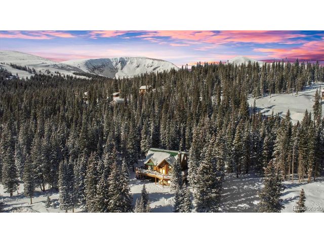 229 Lee Ln, Breckenridge, CO 80424