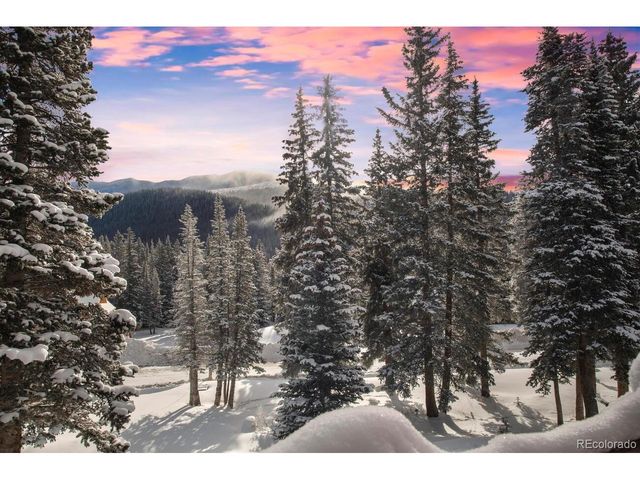 229 Lee Ln, Breckenridge, CO 80424