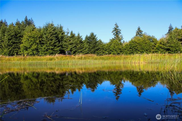 447 Boistfort Road, Curtis, WA 98538
