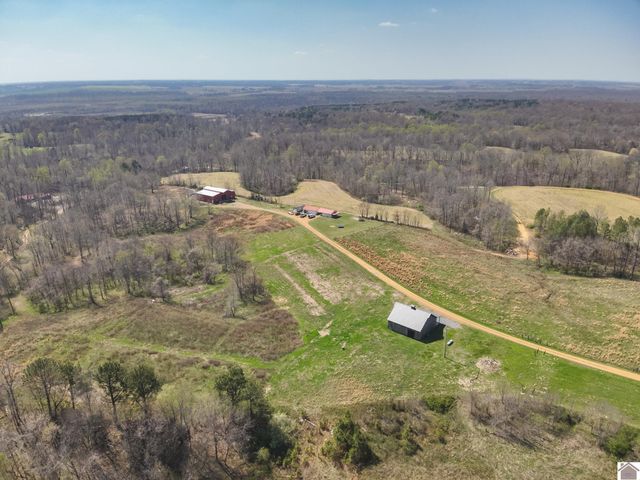 181 Wilson Hill Rd, Fancy Farm, KY 42066