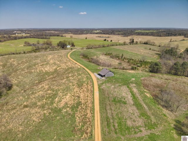 181 Wilson Hill Rd, Fancy Farm, KY 42066