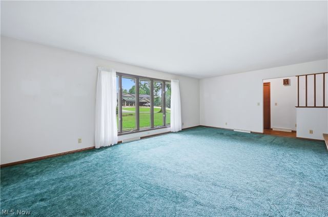 7166 Wildwood Drive, Brookfield, OH 44403