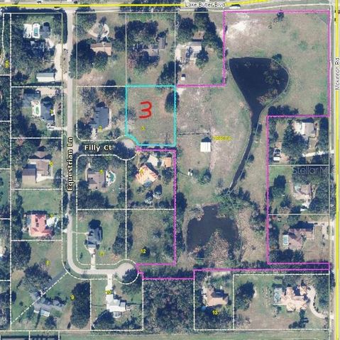 13125 FILLY COURT, Windermere, FL 34786