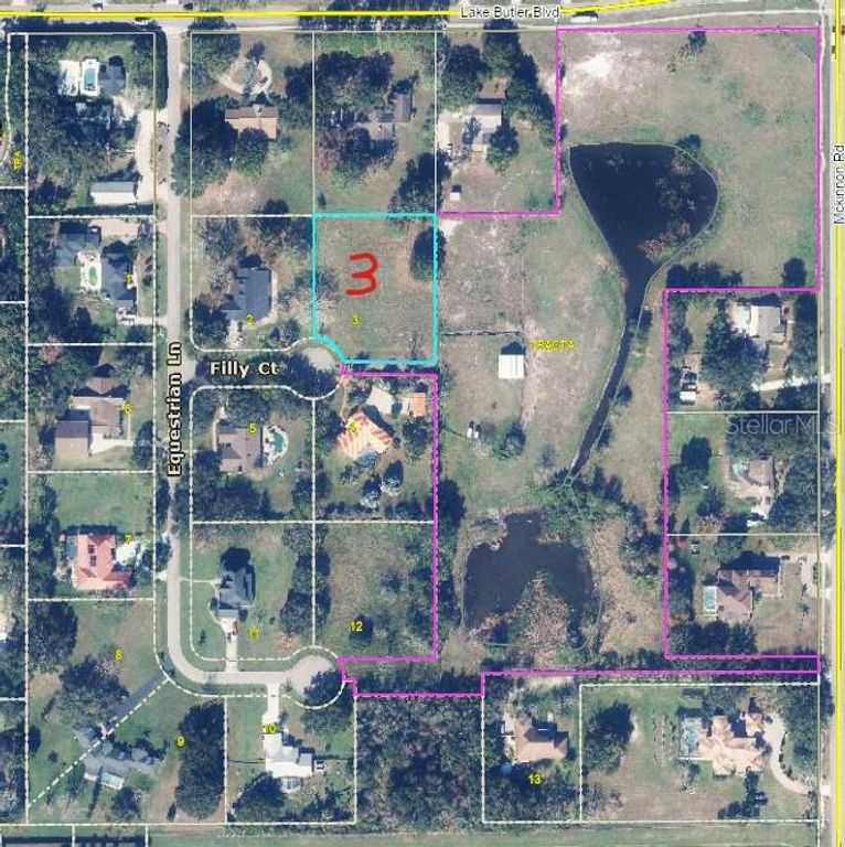 Image 2 of property listing at 13125 FILLY COURT, Windermere, FL 34786