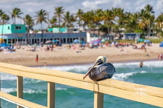 133 N Pompano Beach Boulevard 108, Pompano Beach, FL 33062