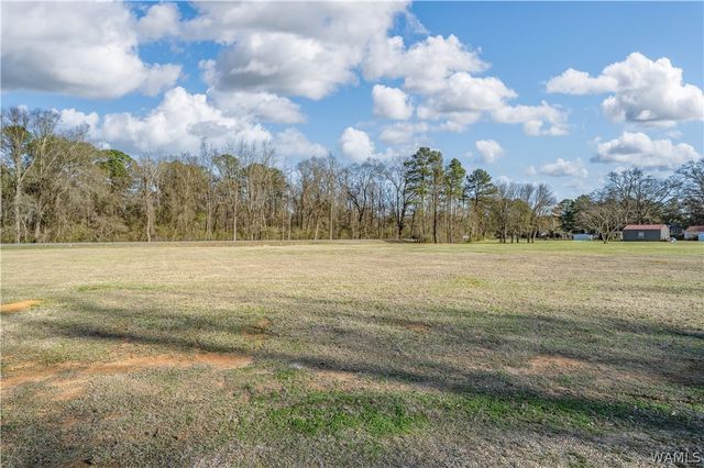 4529 Robert Cardinal Airport, Northport, AL 35476