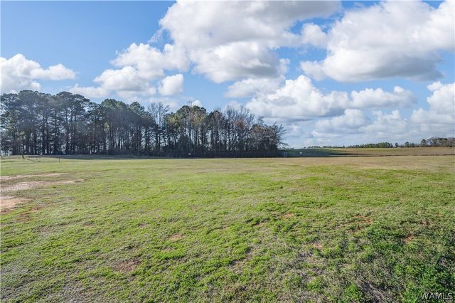 4529 Robert Cardinal Airport, Northport, AL 35476